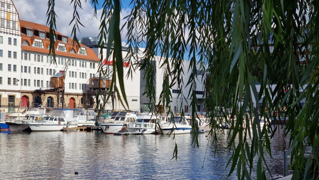 Natur erleben – Reiseblog Nadinswelt