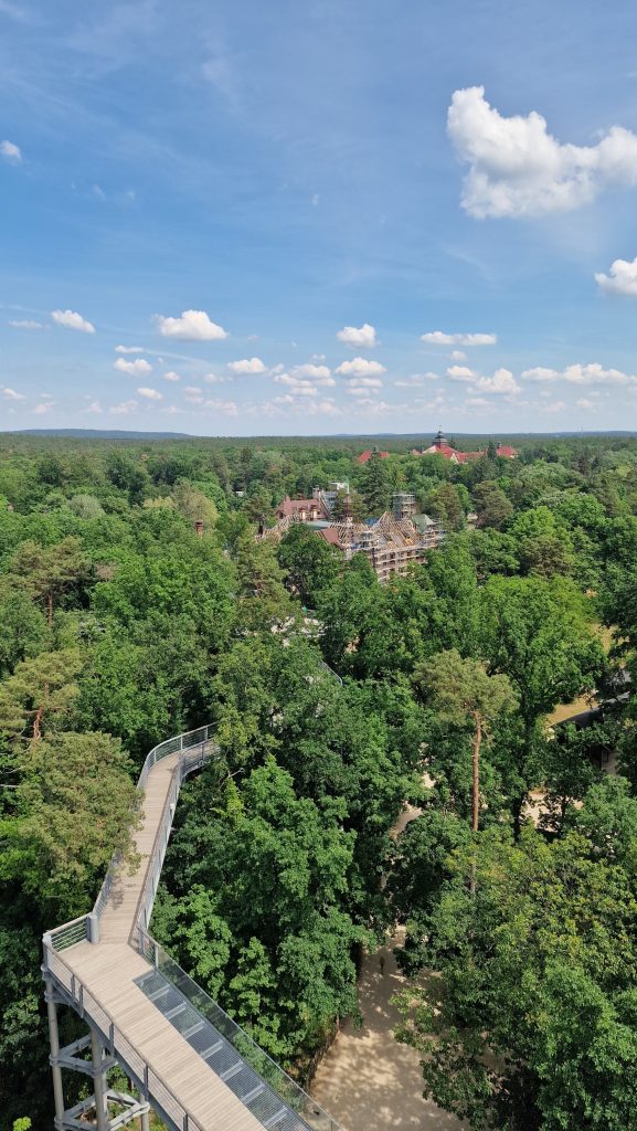 Baumkronenpfad Beelitz zwischen den Baumwipfeln im Wald