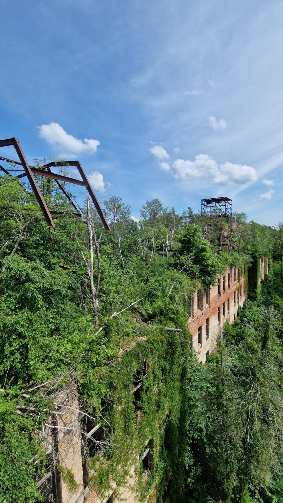 Baumkronenpfad Beelitz zwischen den Baumwipfeln im Wald