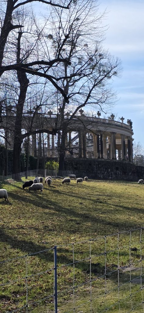 Terrassen vom Schloss Sanssouci bei Sonnenschein in Potsdam