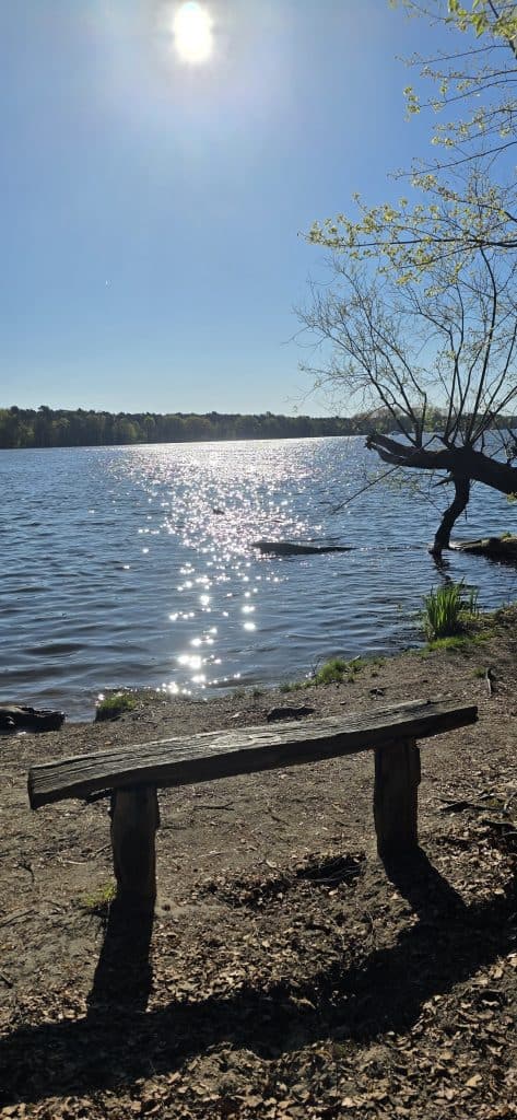 Spazierweg entlang der Dahme im Grünauer Forst bei Berlin