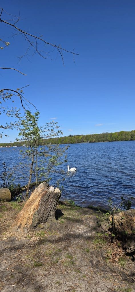 Ruhige Sitzbank mit Blick auf die Dahme im Grünauer Forst