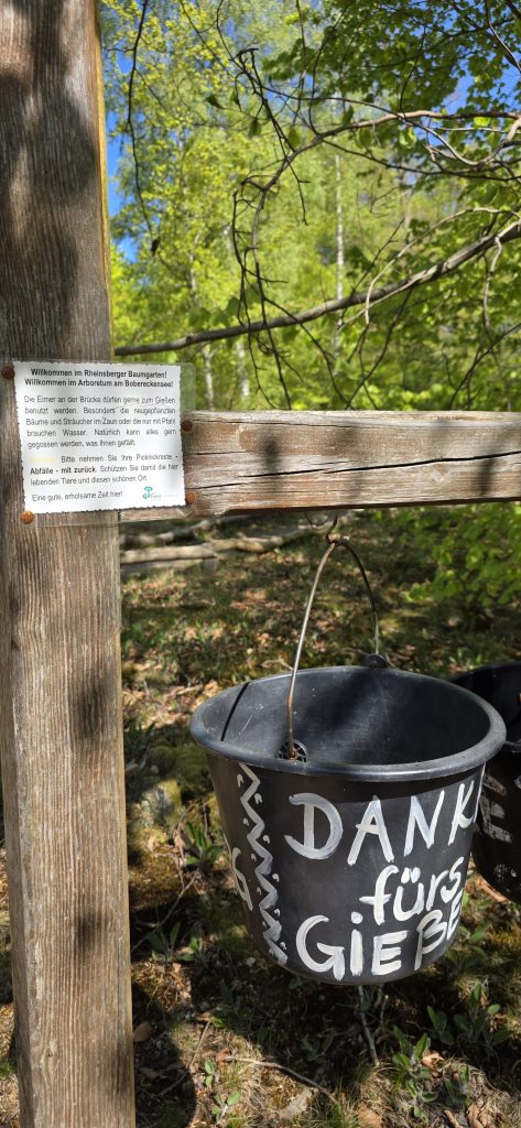 Spaziergang am Seeufer