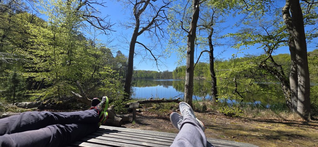 Rheinsberg Tagesausflug Spaziergang am Seeufer