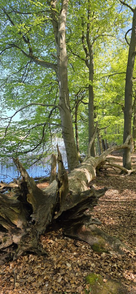 berg Tagesausflug Spaziergang am Seeufer