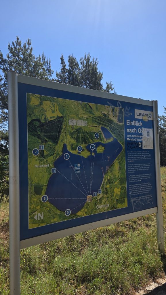 Offene Landschaft mit Wasserflächen und jungen Uferzonen