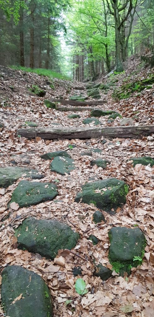 Wandern im Harz bei Schnee