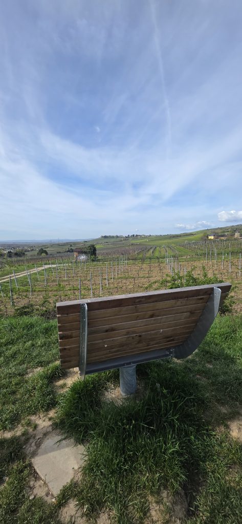 Aussichtspunkt Mittelheimer Edelmann mit Blick auf Rhein und Weinberge