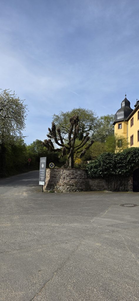 Weingut Schloss Vollrads während der Weinwanderung