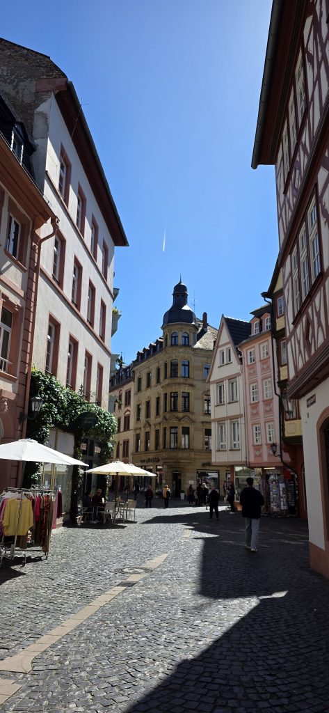 Schloss Mainz mit Schlosspark und Grünanlage