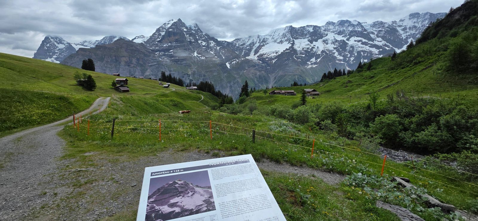 Blick auf die Jungfrau
