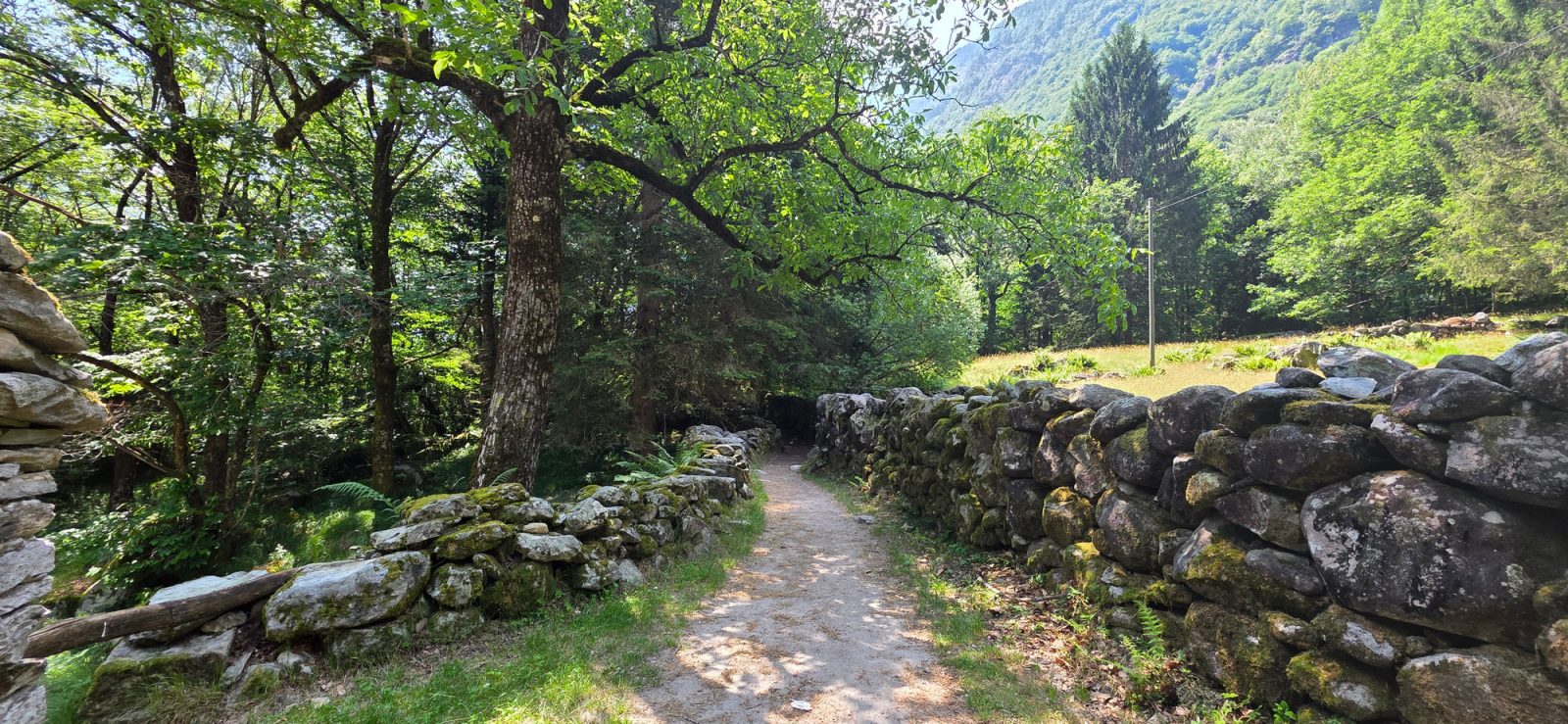 BoBosco Trail