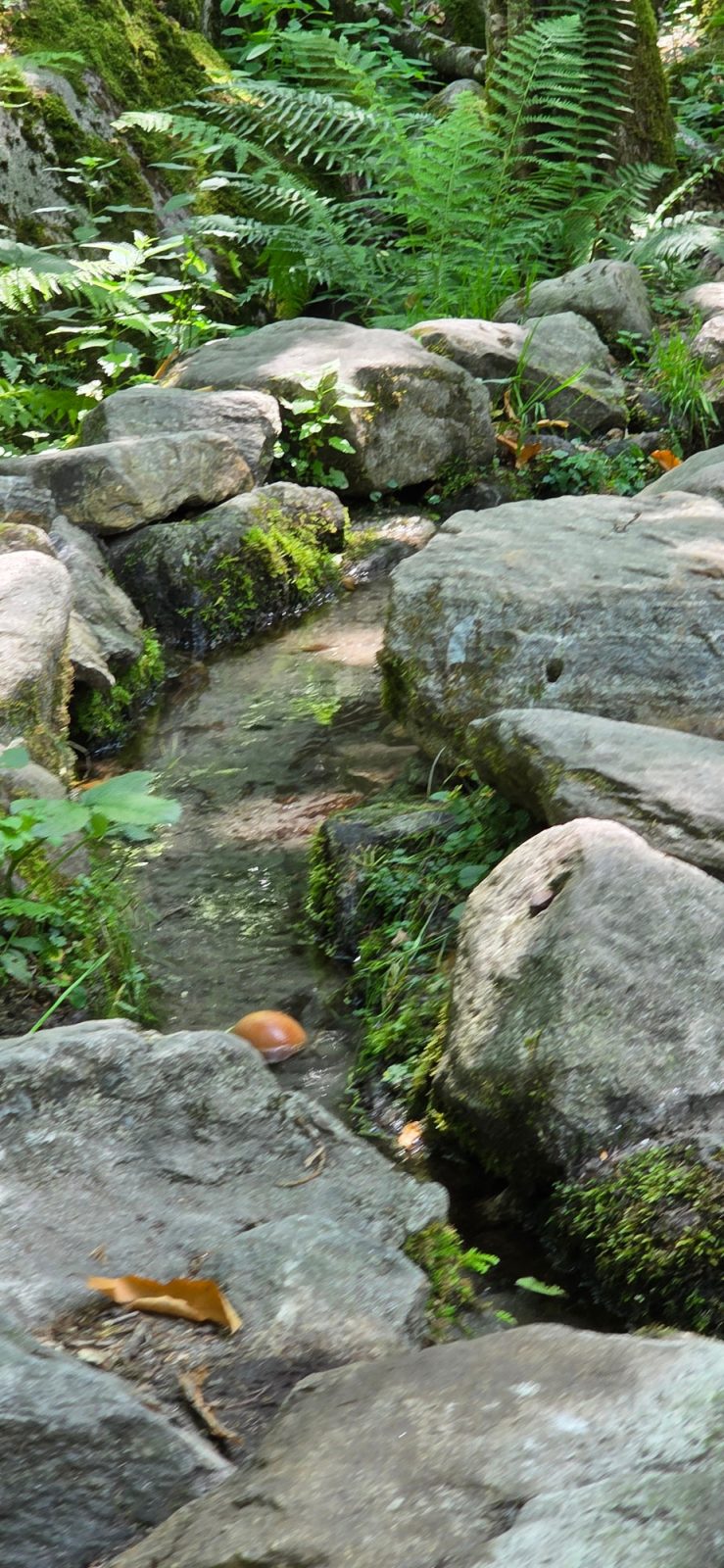 Wasserstation Bobosco