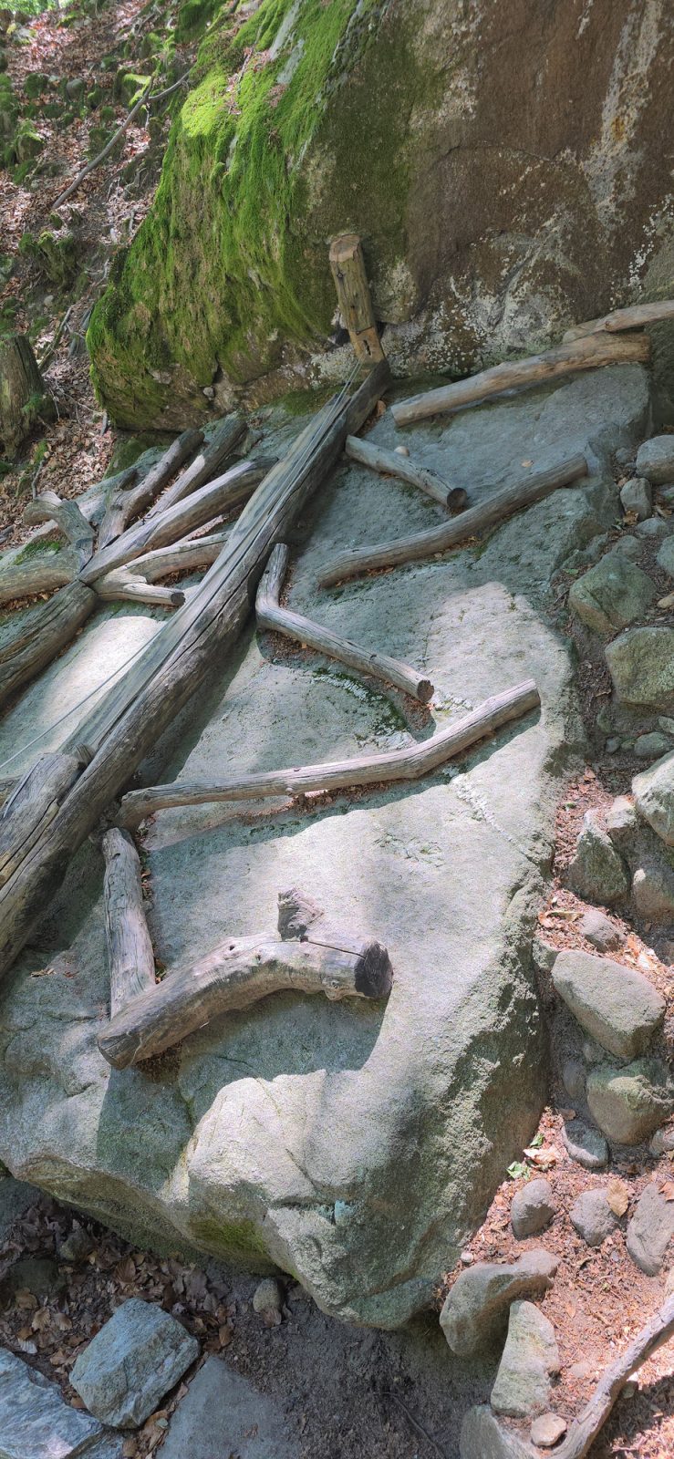 BoBosco Trail