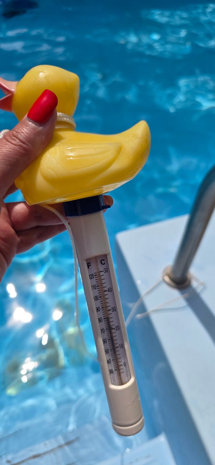 Pool der Ferienwohnung