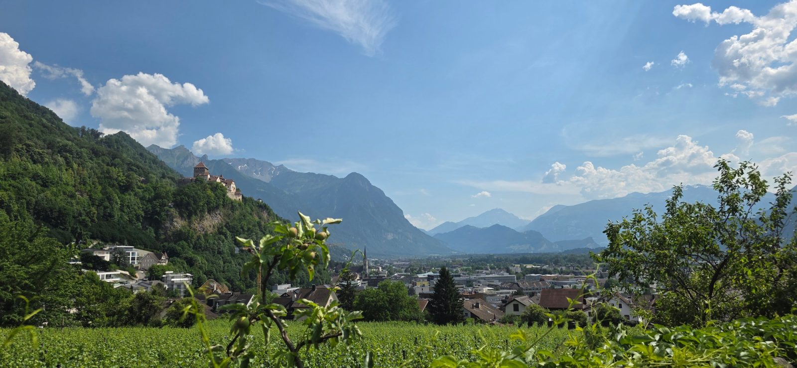 Weinberge Vaduz