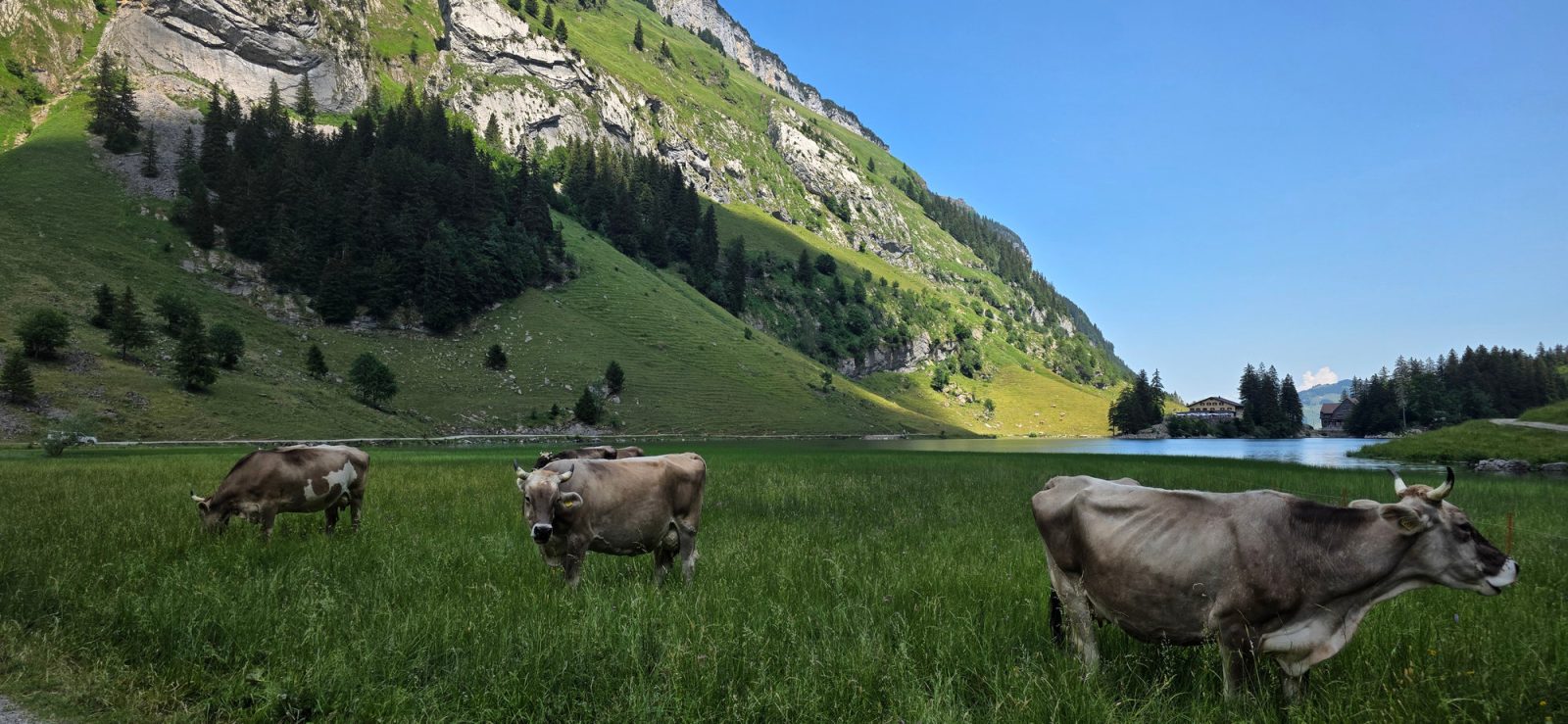 Schweiz Rundreise Kosten