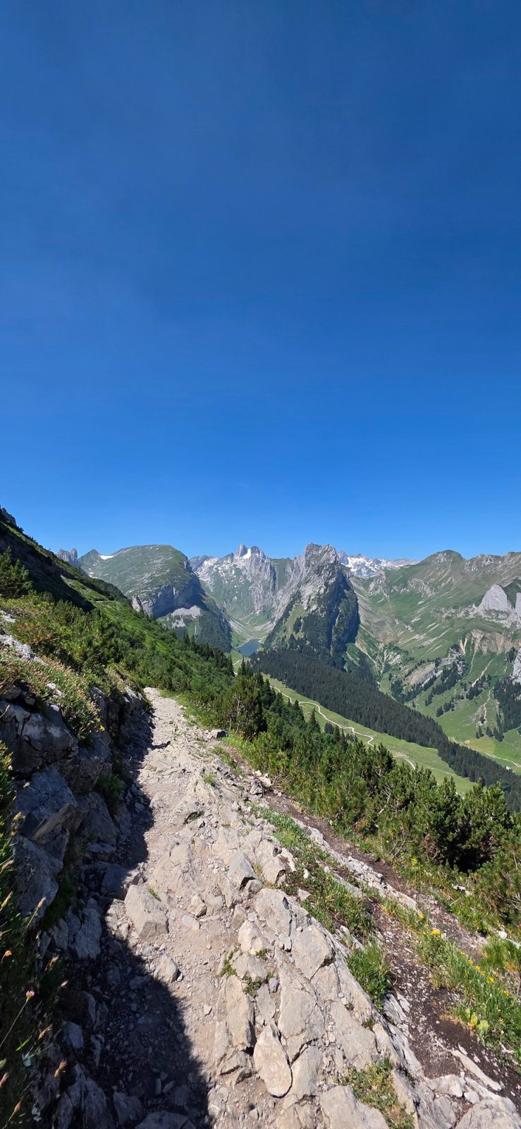 Hohenkasten Saxer Lücke Bollenwees: