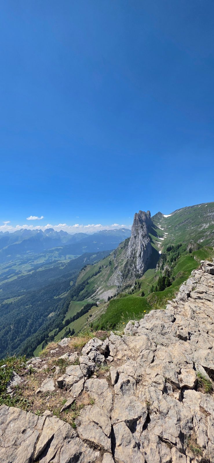 Hohenkasten Saxer Lücke Bollenwees: