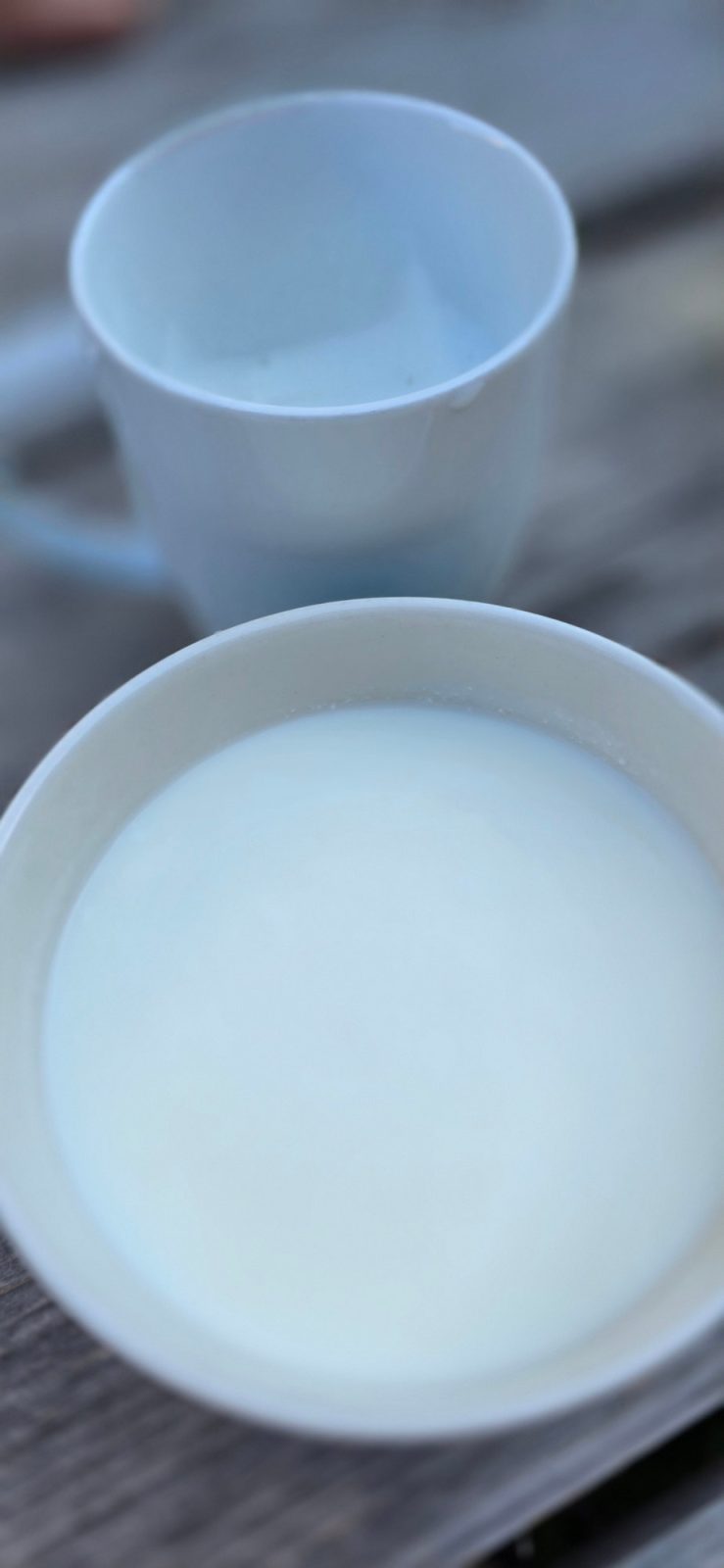 Frische Ziegenmilch