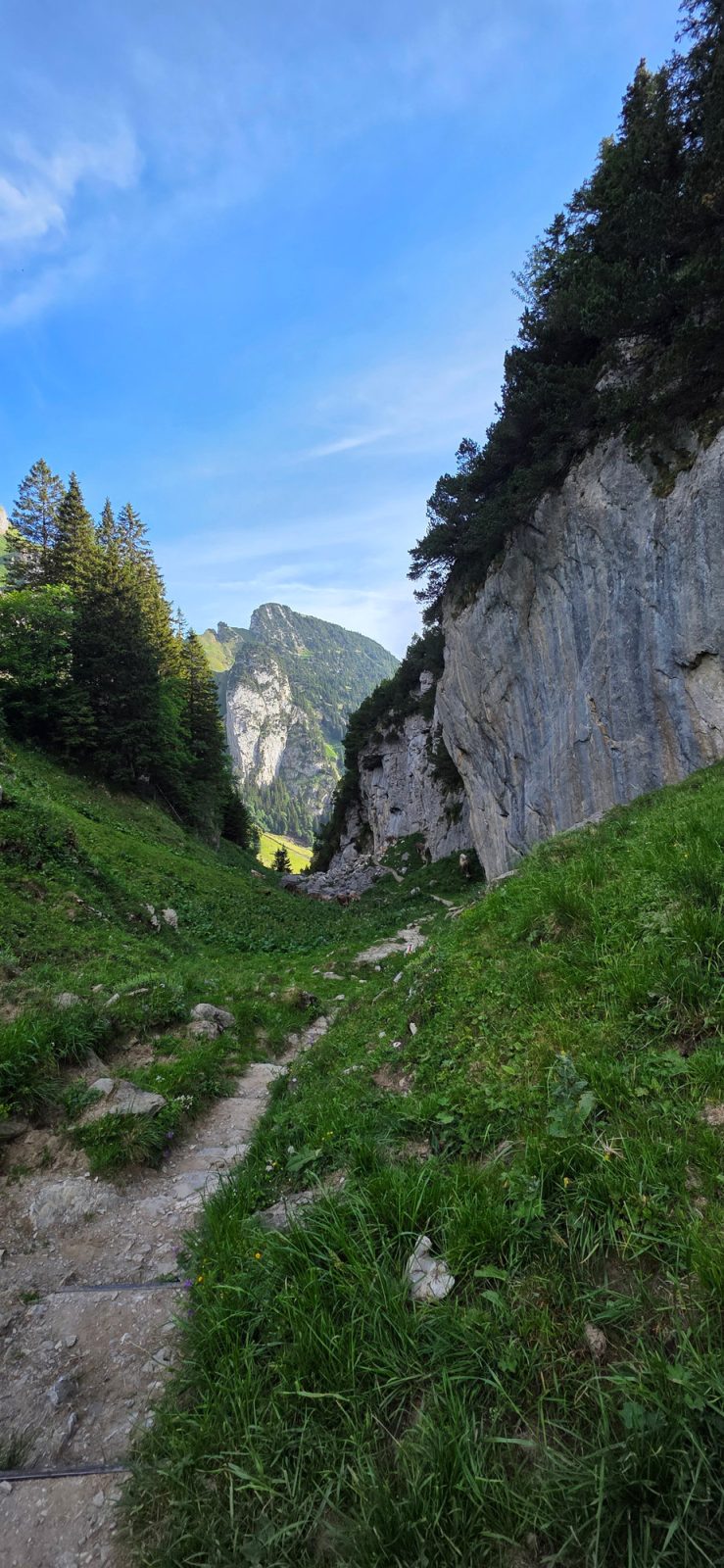 Bollenwees Widderalp Meglisalp Wasserauen Wanderung