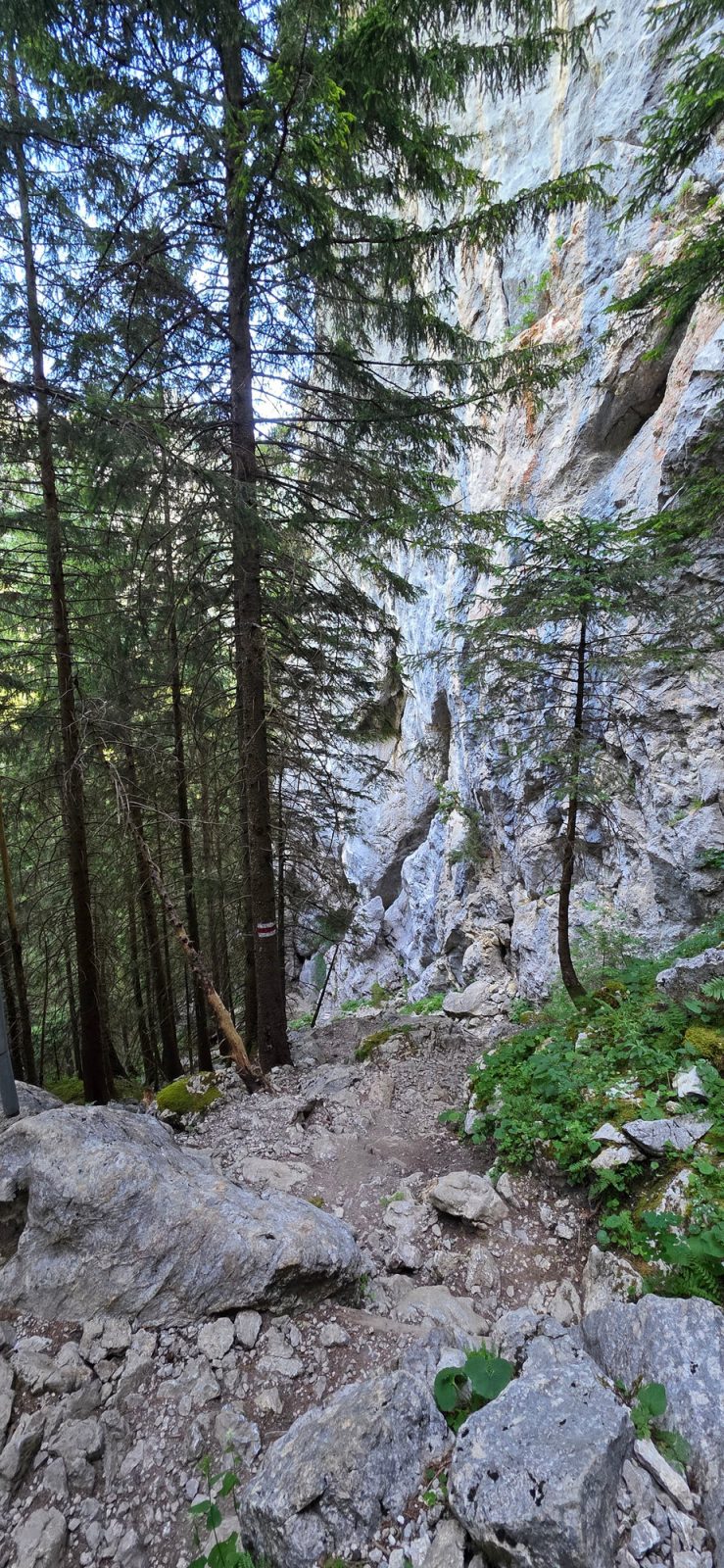 Bollenwees Widderalp Meglisalp Wasserauen Wanderung