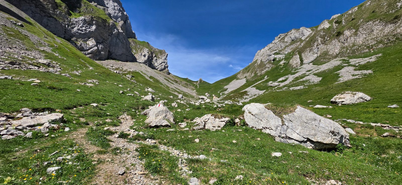 Bollenwees Widderalp Meglisalp Wasserauen Wanderung