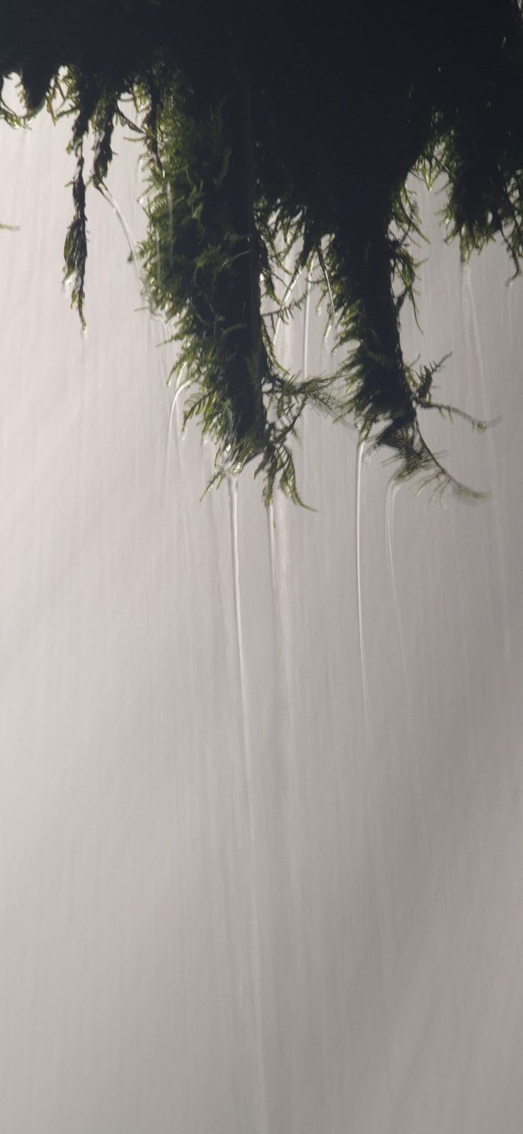 hinterm Giessbachfall Schweiz