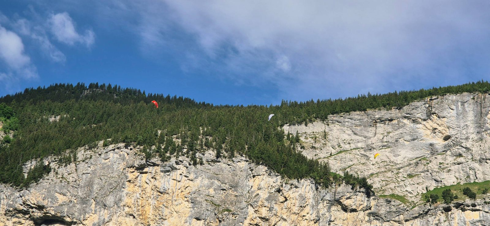 Paragleiter