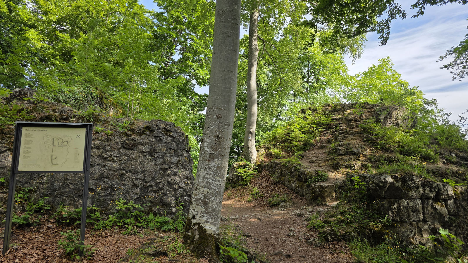 Burgruine
