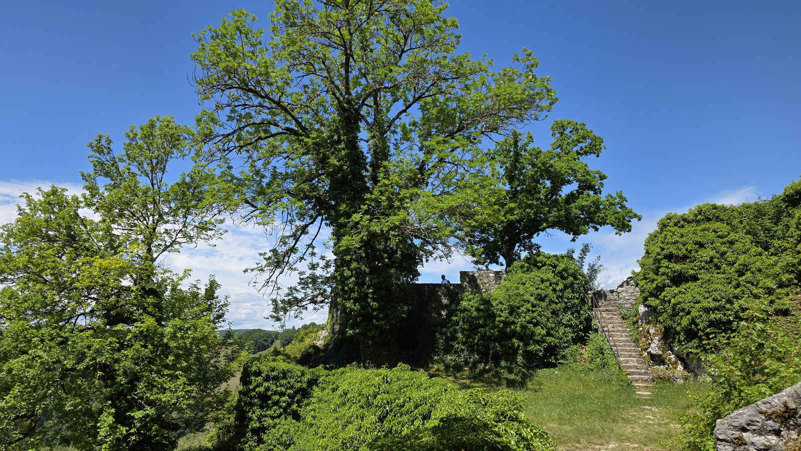 Die Burgruine