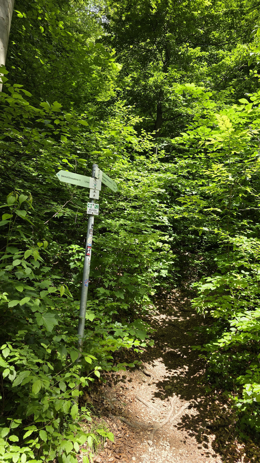 Wanderweg durch den Wald zur Burgruine Schlossberg bei Bad Urach