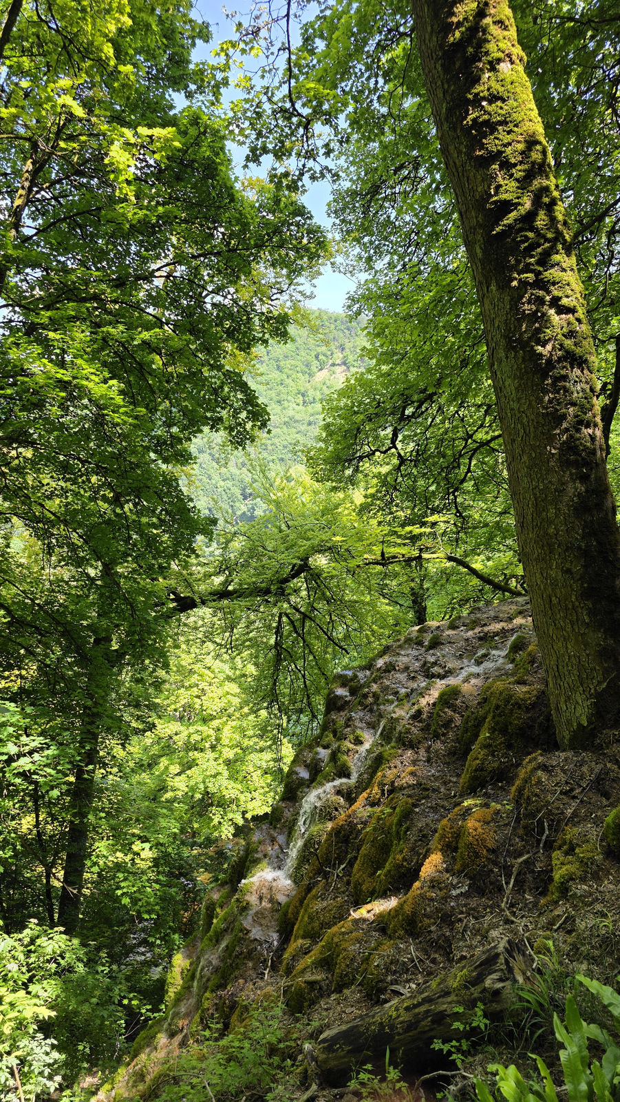Ruhiger Gütersteiner Wasserfall bei Bad Urach