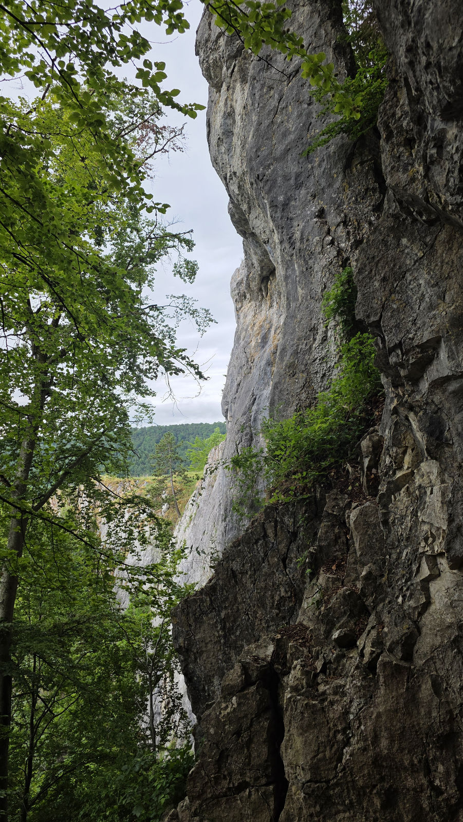 Blaubeuren Blautopf