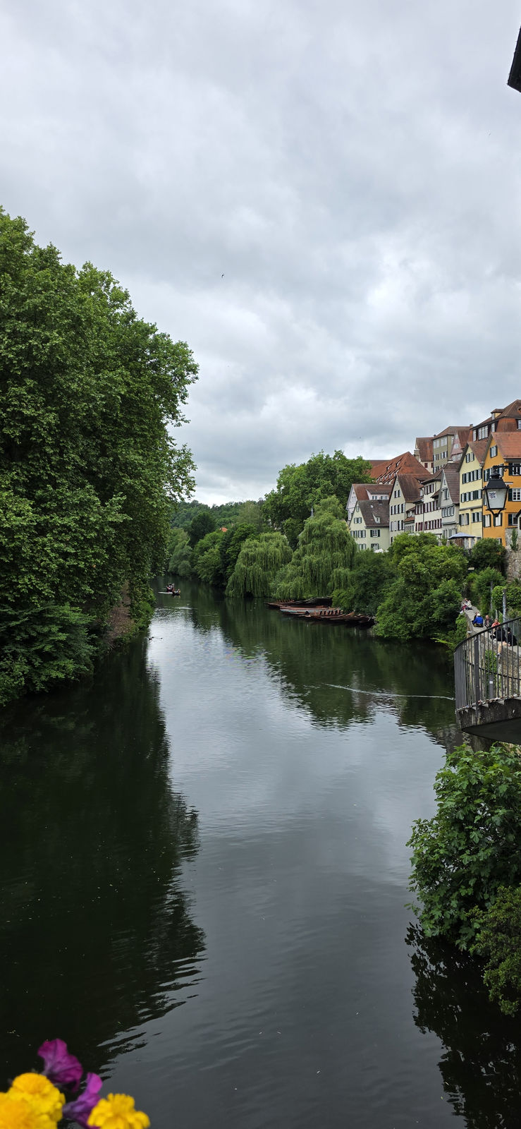 Neckar