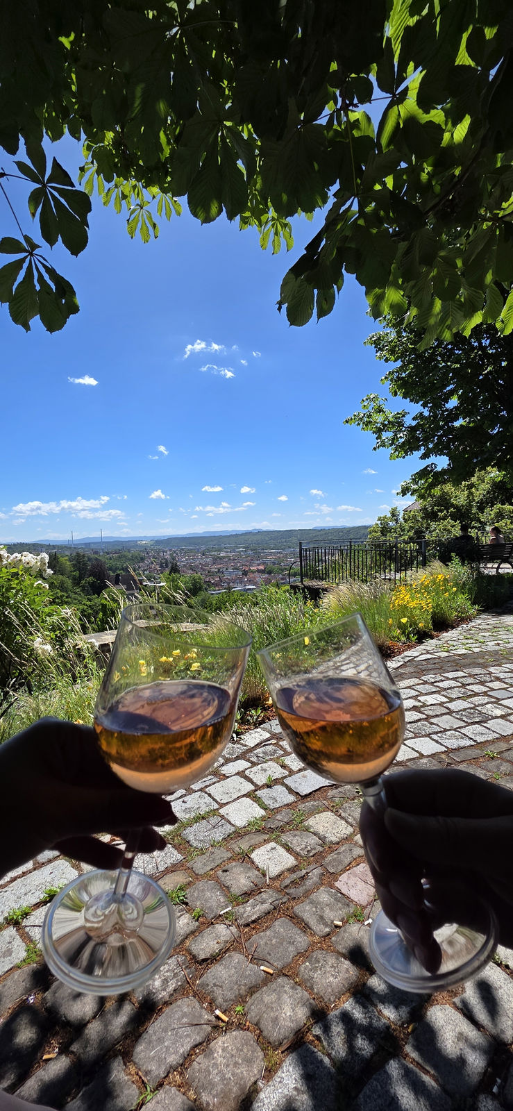 Weintrinken