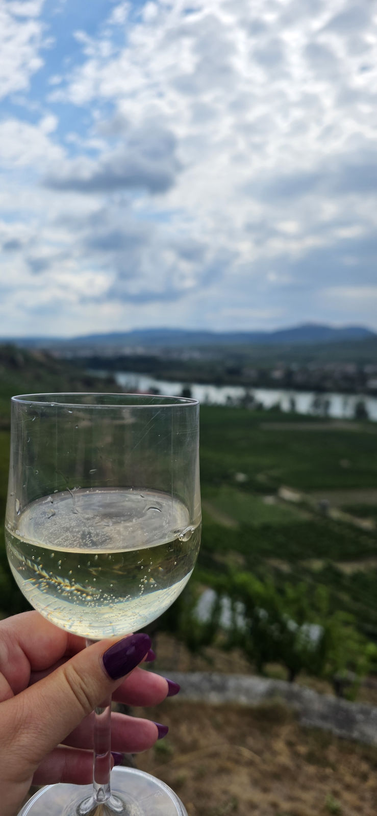 Welterbesteig Krems Dürnstein