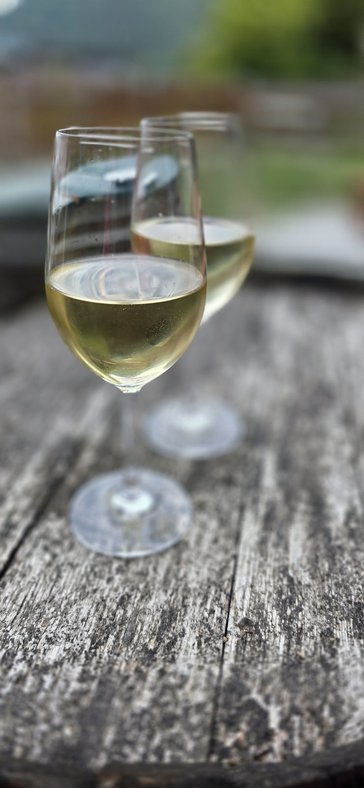 Vinothek
