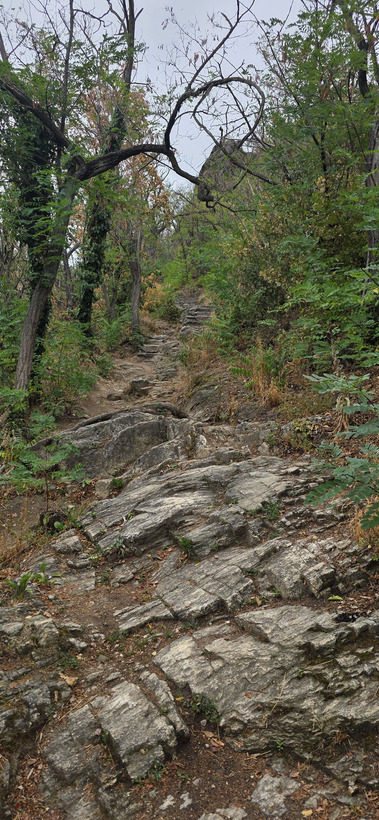 Welterbesteig Dürnstein Weißenkirchen