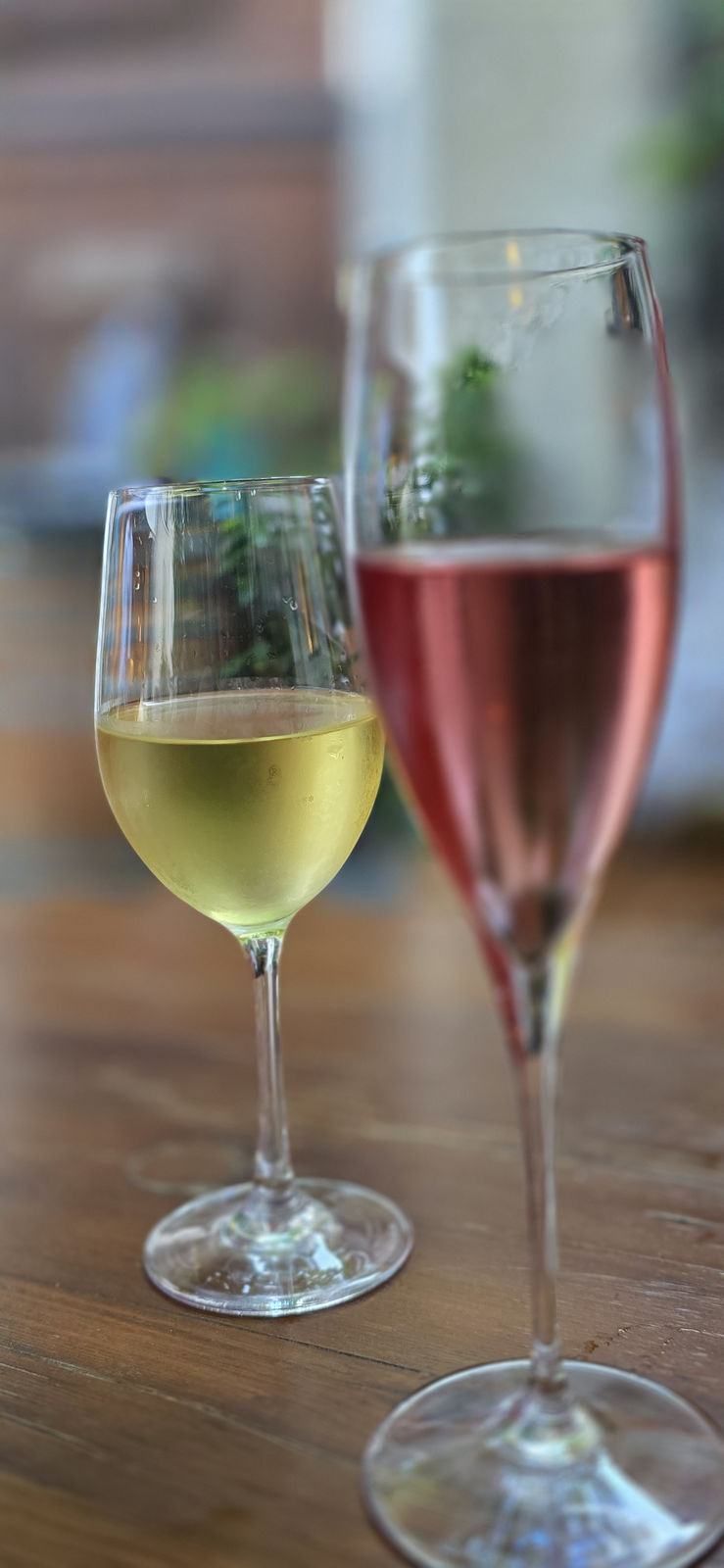 Zottelweingut
