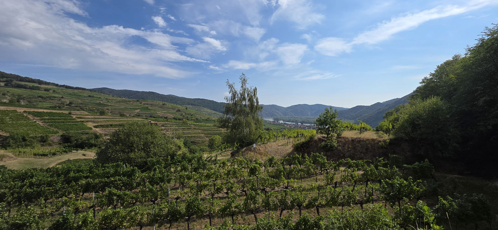 Welterbesteig Weißenkirchen Spitz