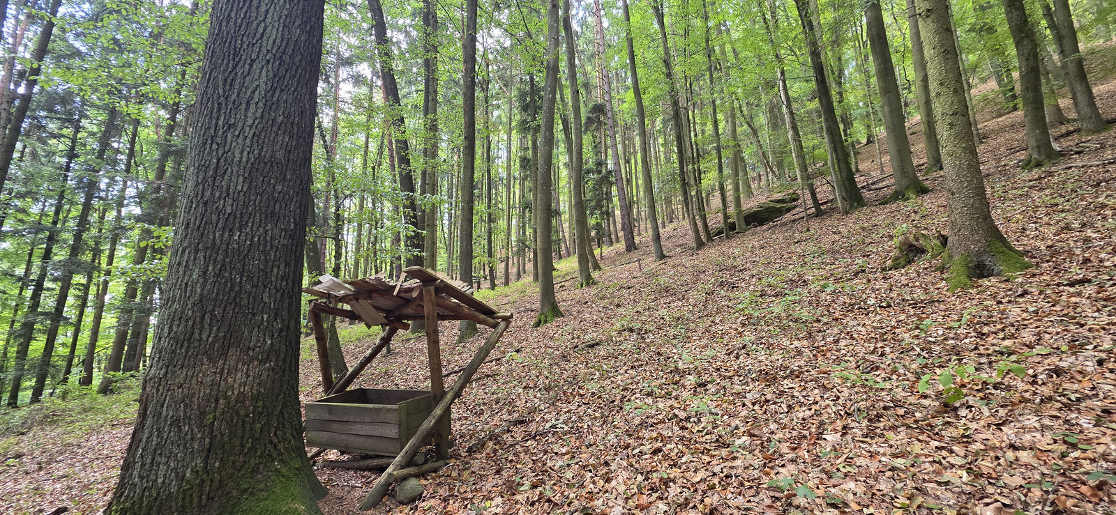 Welterbesteig Weißenkirchen Spitz