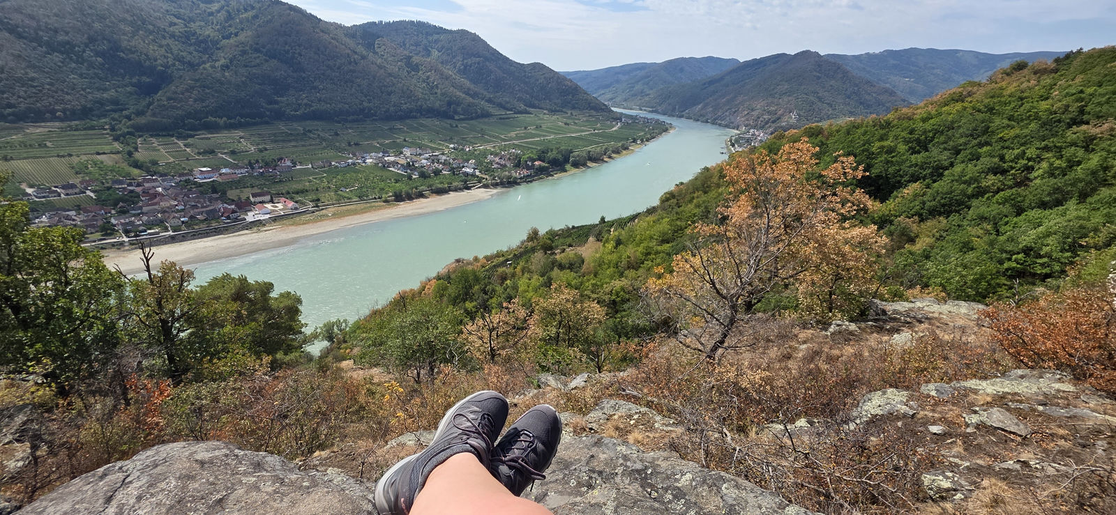 Donaublick