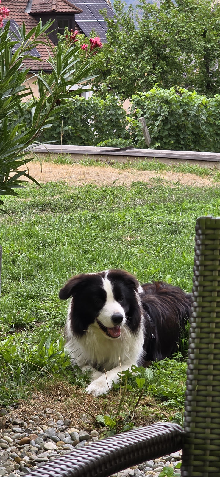 Welterbesteig Weißenkirchen Spitz