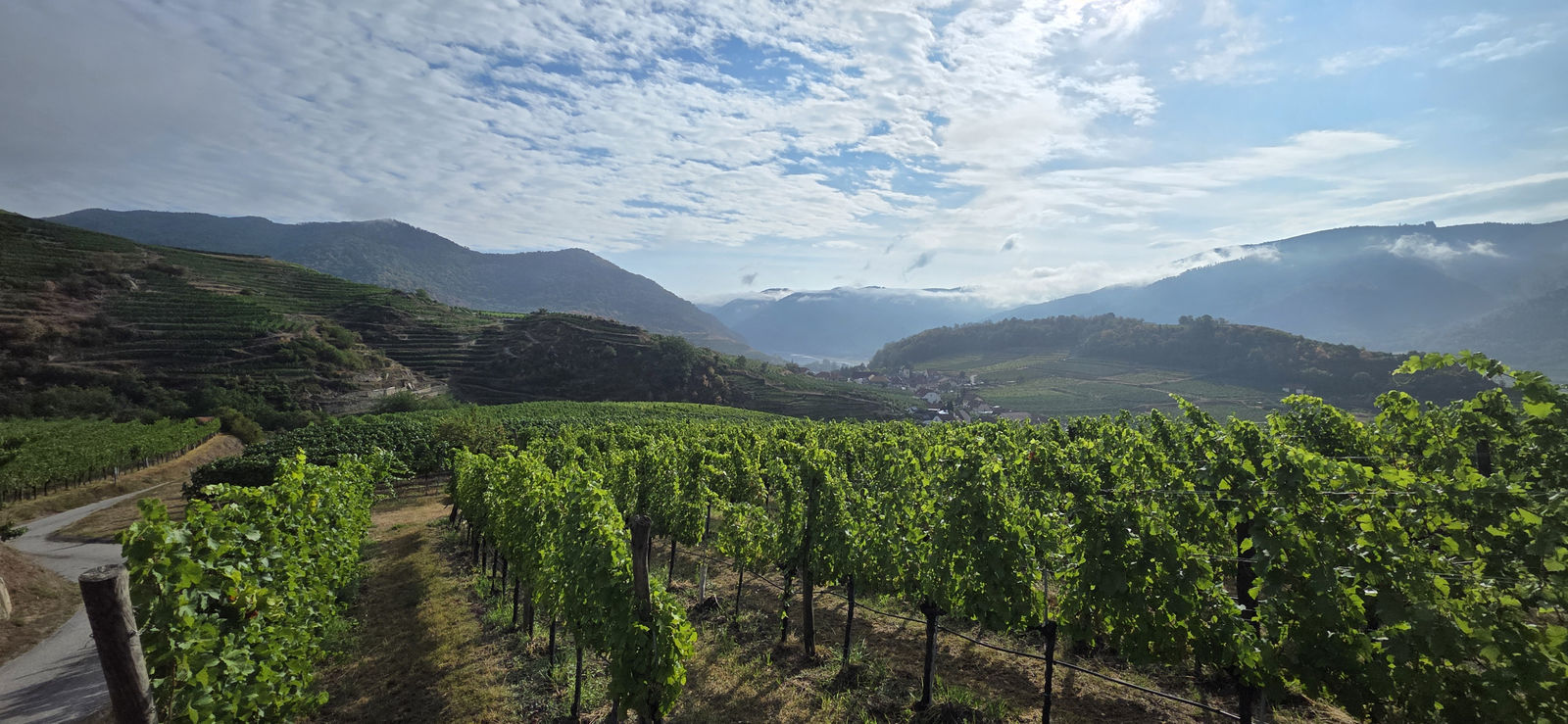Welterbesteig Spitz Mühldorf
