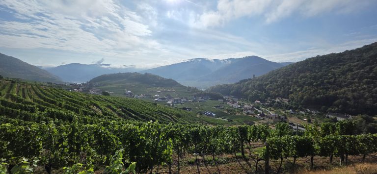 Welterbesteig Spitz Mühldorf