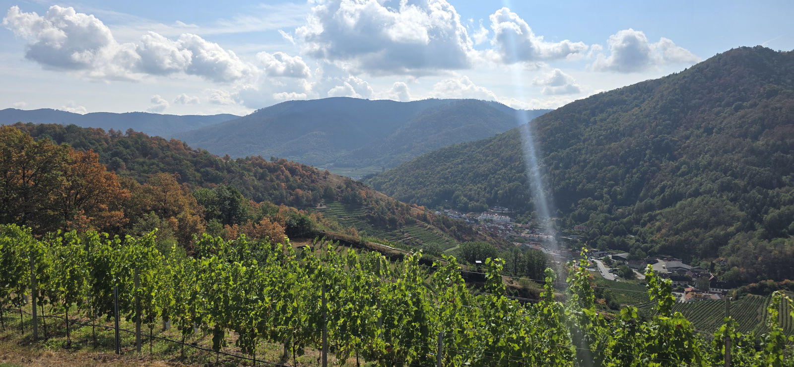 Welterbesteig Wachau
