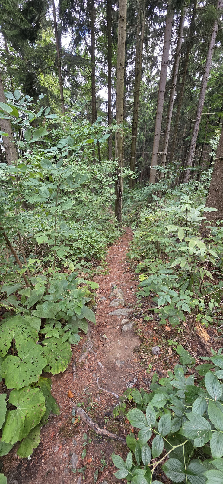Welterbesteigs Mühldorf Spitz