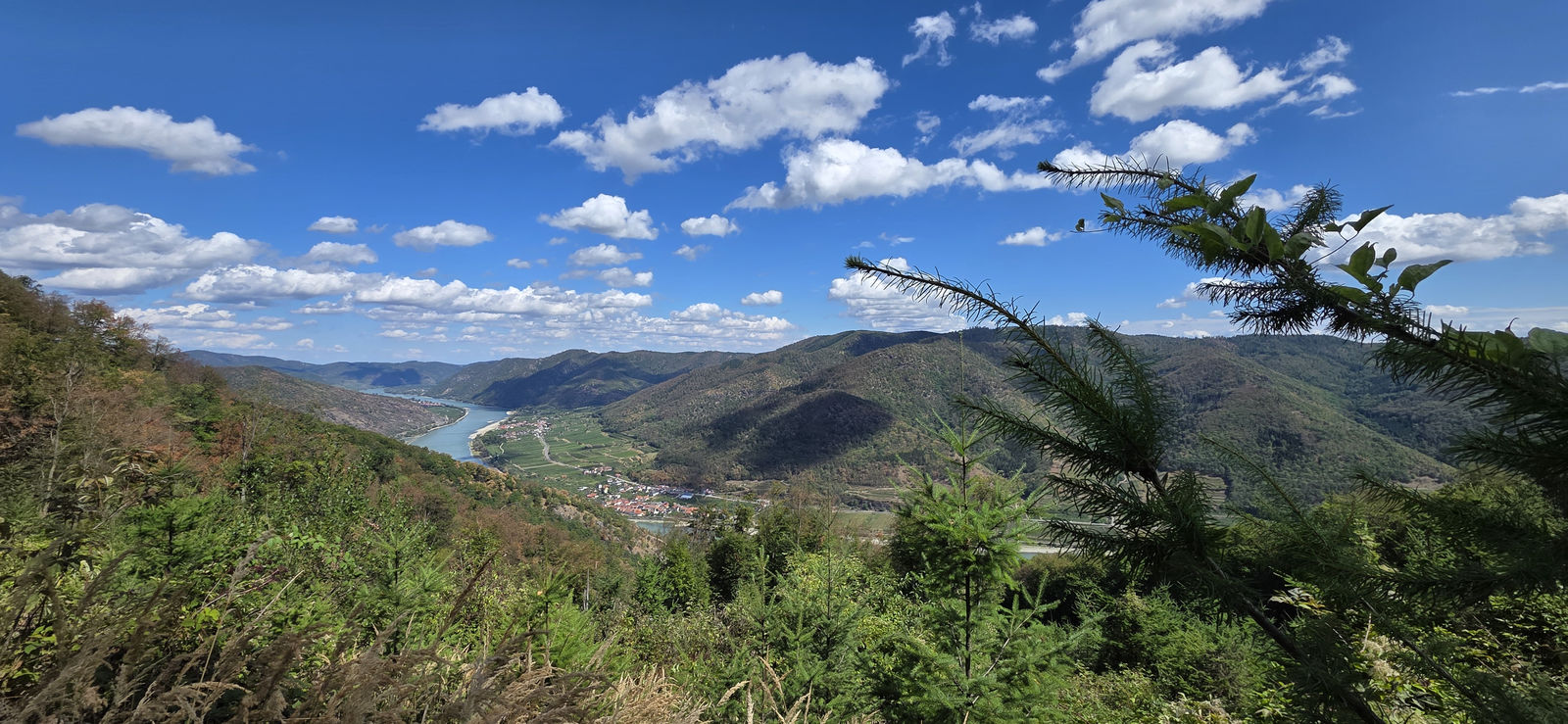Blick auf spitz