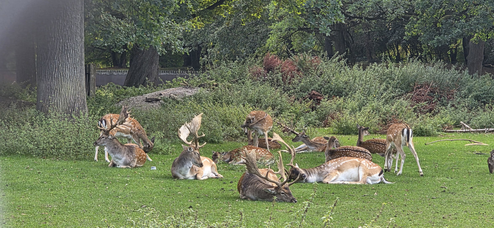 Olympiapark und Schloss Nymphenburg